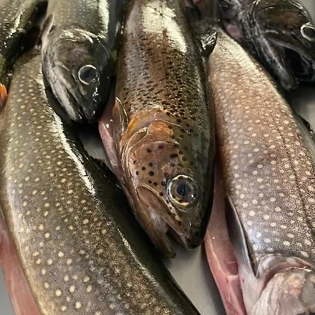 Hotel-gasthaus-kraft Maison d'hôtes Schauenburg