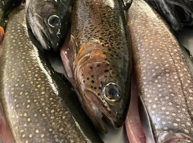 Hotel-gasthaus-kraft Penzion Schauenburg